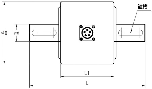 LZ-N6静态扭矩传感器